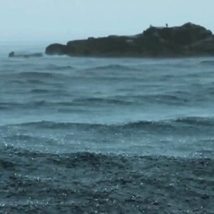 Meet your Posher, Evelyn